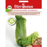 Dürr Samen BIO cikorija Cene