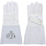 Long leather glove KRON | shoptok.hr
