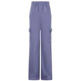 Jordan Jdg wj brkn ft cargo pant | Eponuda.com