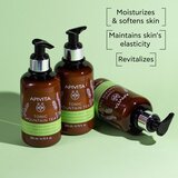 Apivita Tonic Mountain Tea Revitalizing Body Ritual božićni poklon set za regeneraciju kože | shoptok.hr