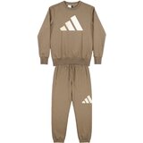 Adidas Otroški kompleti Essentials Joggers Set Kids Kostanjeva Cene