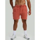 Shorts Washed Terra