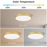  Immax NEO 07293L - LED+CCT prigušiva plafonsko svetlo SEMPLICI 60W/230V prečnik 60 cm + daljinski upravljač | Eponuda.com
