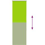 vidaXL Rolo zatemnjena Zelena barva listov 60x150 cm tkanina širina | Shoptok.si