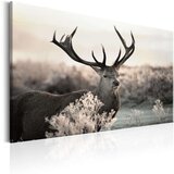  Slika - Powerful Horns 90x60 | shoptok.hr