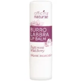 Organic Softening Lip Balm Red Fruit