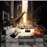  Tapeta - Giraffe in the big city 200x154 Cijene