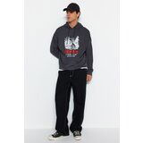 Trendyol Anthracite Men's Oversized Fit Hoodie Outdoor Printed Sweatshirt. cene