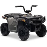 Beneo 11V Arctic Cat, kvad za djecu, sivi | Shoptok.si