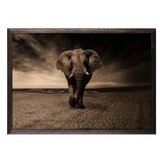 Wallity slika strong elephant, 35 x 50 cm | ePonuda.com