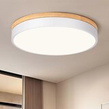 VIKAEY 40 cm LED stropna svetilka - 36 W Cene