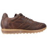 Cetti Modne superge C848 INV26 Kostanjeva | Shoptok.si