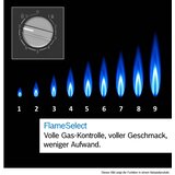 Bosch PRB3A6I40 Serie 8 plinski kuhalnik 30 cm, plinski kuhalnik Domino, crne samostojen, barve | Shoptok.si