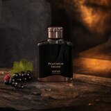 Anfar Platinum Shade parfumirana voda za moške 100 ml | Shoptok.si