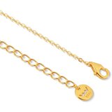 Vuch Pozlaćena srebrna ogrlica Solea Gold, 45 + 5 cm | shoptok.hr