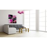  Slika - Orchids more beautiful than ever 80x80 | shoptok.hr