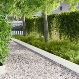  Ograda oko Travnjaka 30 pcs 102 x 15 x 4 cm Čelik Bijela Slike