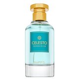 Riiffs Celesto Turquoise parfemska voda za muškarce 100 ml | shoptok.hr
