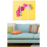 Wallity Set slika MDF644686126, 3 dijela | Eponuda.ba