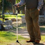 InnovaGoods Štap na Izvlačenje s LED Svjetlom, Alarmom i Mehaničkom rukom Hannde | shoptok.hr