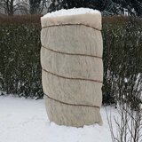 x classic Zaštita za biljke od hladnoće (10 2 m, Prikladno za: Prezimljavanje) Cijene