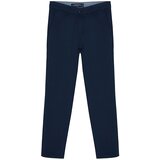 Trendyol Pants - Dark blue - Straight Cene