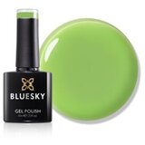  BLUESKY MINT LIME TRAJNI LAK 10ML | Eponuda.ba