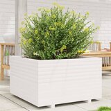 vidaXL Vrtno cvetlično korito belo 80x80x49,5 cm trdna borovina Cene