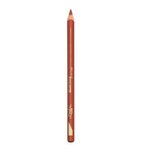 Loreal color riche olovka za usne 107 ( 1003002709 ) Cene