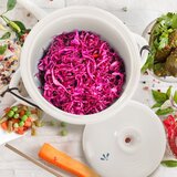Orion Komplet za fermentiranje 12 l – | Shoptok.si