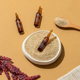Milk Shake Integrity & Strength Protein Treatment koncentrirani serum za oštećenu kosu s proteinima 8x10 ml | shoptok.hr