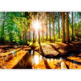  Foto tapeta - Marvelous Forest 200x140 Standard | shoptok.hr