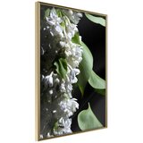  Poster - Fragrant Spring 40x60 | shoptok.hr
