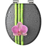 SCHÜTTE Deska Za Wc-školjko Asia -Sb- | Shoptok.si