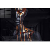 Wallity Steklena slika 70x50 cm – Wallity Cene