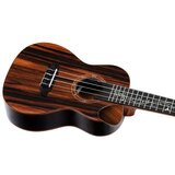AUDIO KONDRIC Ukulele Ortega RUET-EB+Torba - - Audio-Kondric | Shoptok.si