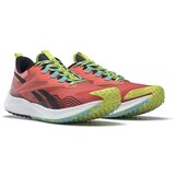 Reebok Tek & Trail Floatride Energy 4 Adventure Bordo | Shoptok.si