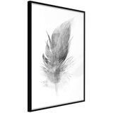  Poster - Lost Feather (Grey) 30x45 Cijene