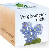ecocube "Spominčice"