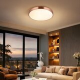  Immax NEO 07321L-LED stropna svetiljka NEO LITE SEMPLICI, prigušiva, 36 W / 230 V, prečnik 40 cm, bakarna, s daljinskim upravljačem | Eponuda.com