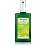 Weleda Citrus citrusni deodorant brez aluminijevih soli 100 ml za ženske Cene