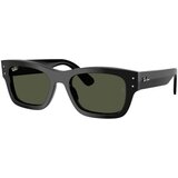 Ray-ban naočale Ray Ban Ray Ban RB7683S Black Cijene