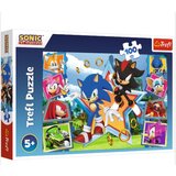 Tref line puzzle 100 pcs sonic ( T16465 ) Cene