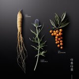 KORIKA Korean Heritage Ginseng & Marine Stem Cells Cell Renew Eye Cream hidratantna krema za pomlađivanje za okoloočno područje 15 ml | shoptok.hr