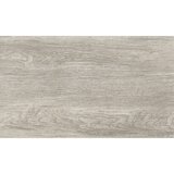 x porculanska pločica Saloon Silver (30 60 cm, Sivo-srebrne boje, Mat) cijene