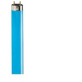 Philips Fluo cev TL-D 36W/18 Plava | ePonuda.com