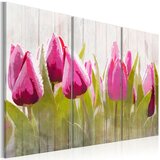  Slika - Spring bouquet of tulips 120x80 | shoptok.hr