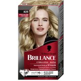 Schwarzkopf Brillance barva za lase - Intensive Color Cream - 825 Beige Blond | Shoptok.si