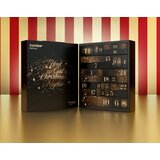 Satisfyer Advent Calendar 2023 Deluxe Cene