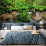  Foto tapeta - Humid Forest 200x140 Standard | shoptok.hr